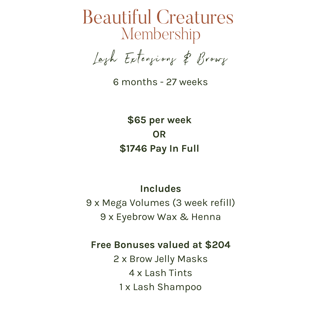 Lash Extensions & Brows Membership - 6 Months