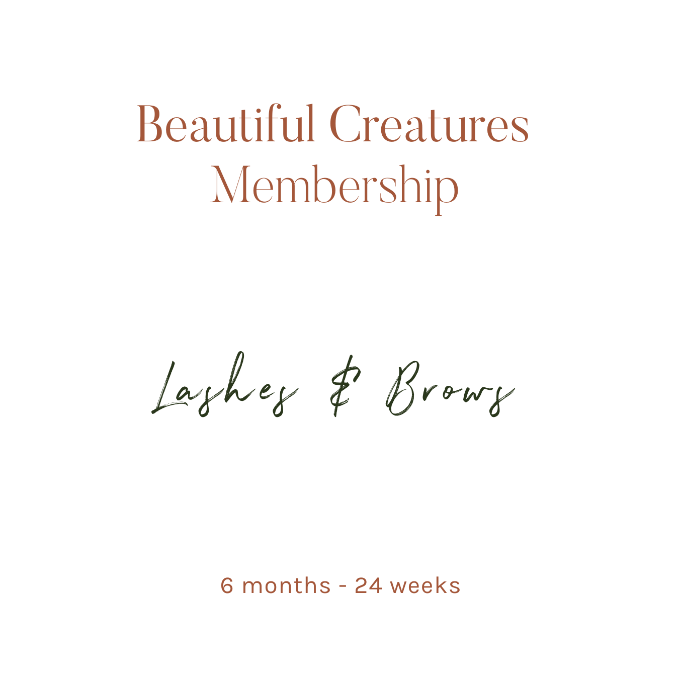 Lashes & Brows Membership - 6 Months