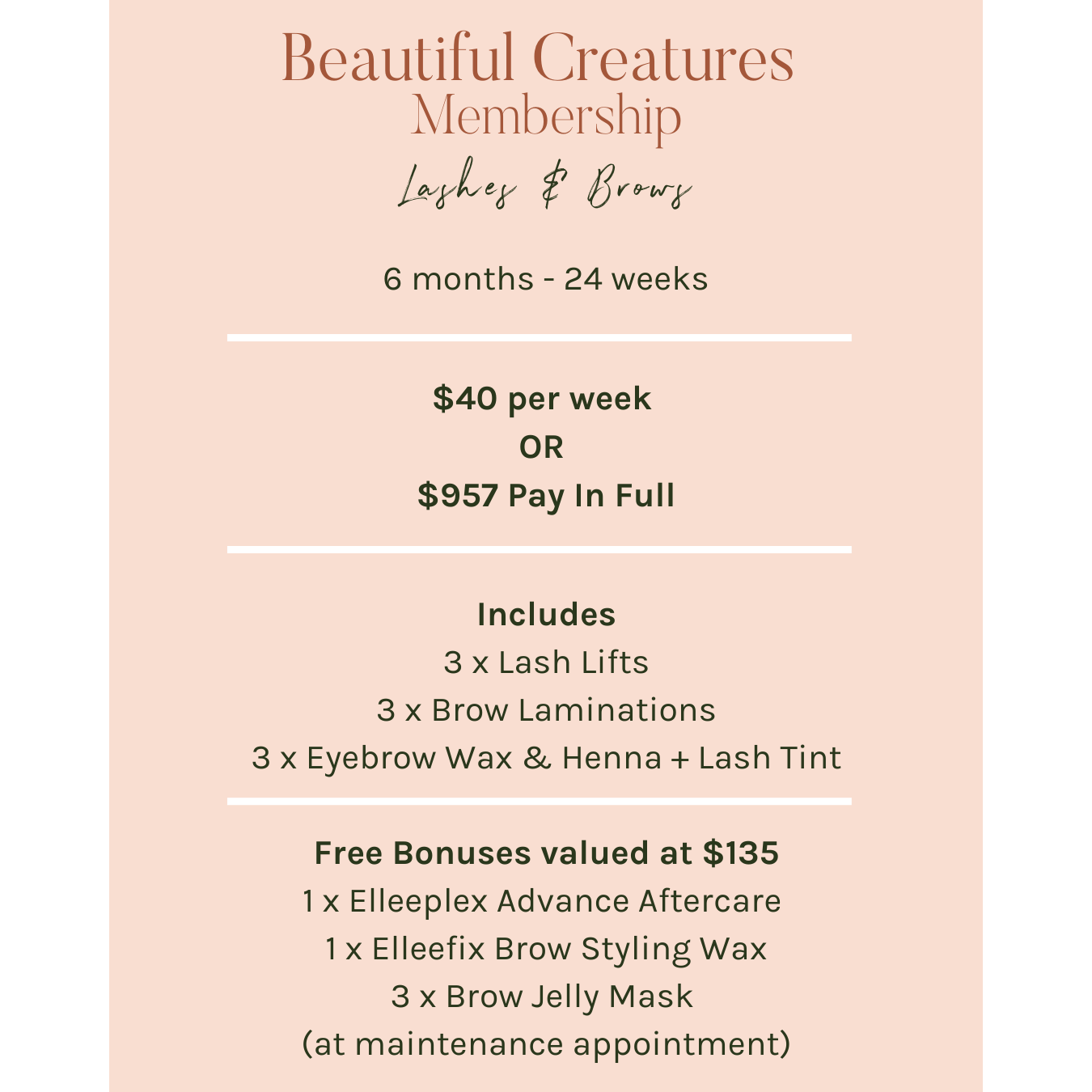 Lashes & Brows Membership - 6 Months