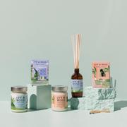 Paradiso: Lemongrass & Ginger Reed Diffuser - Beautiful Creatures Makeup & Beauty
