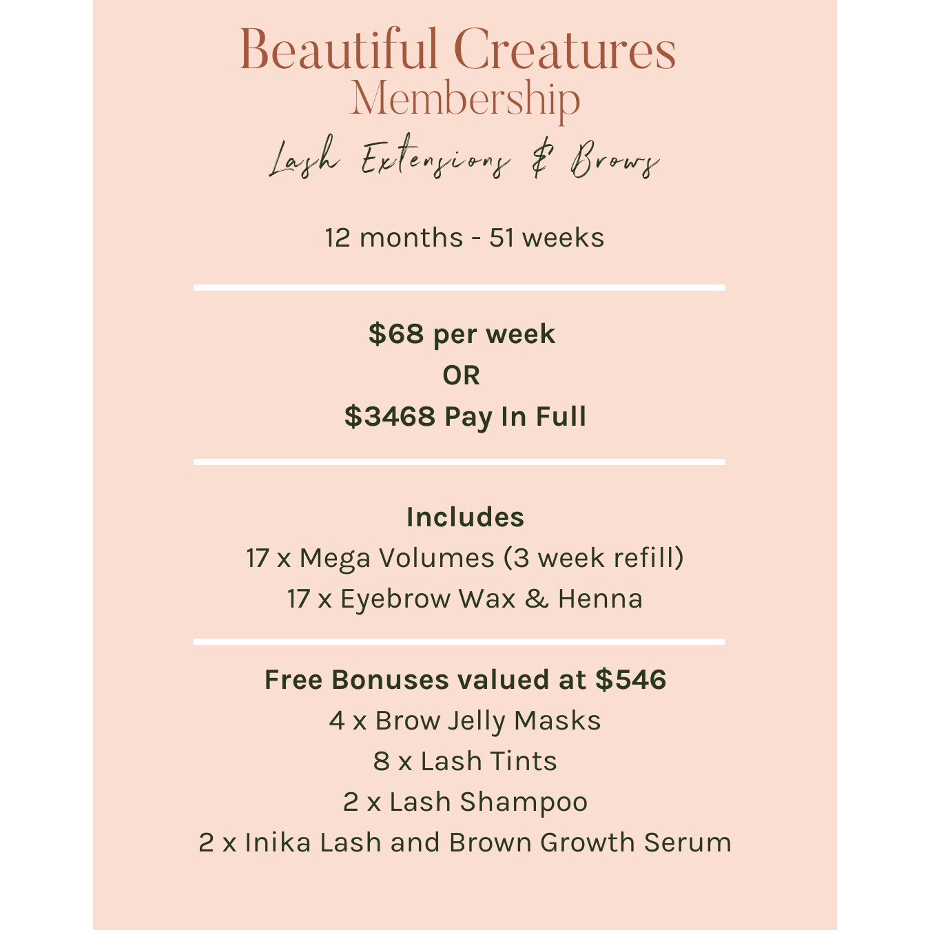 Lash Extensions & Brows Membership - 12 Months