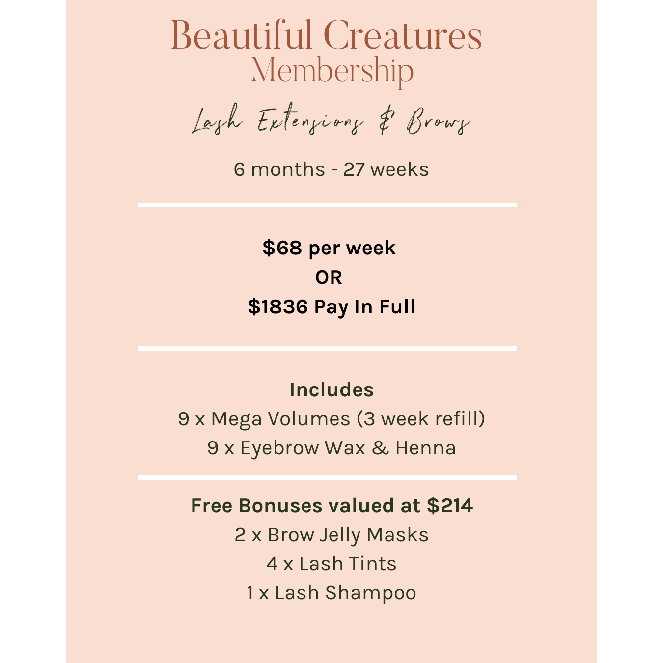 Lash Extensions & Brows Membership - 6 Months