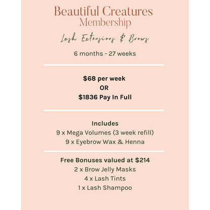 Lash Extensions & Brows Membership - 6 Months