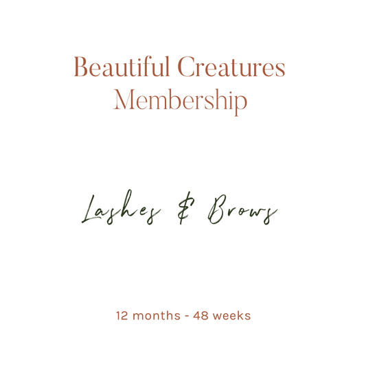 Lashes & Brows Membership - 12 Months
