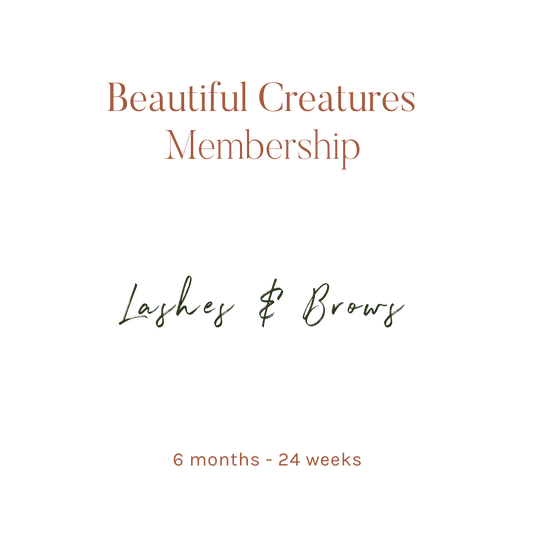 Lashes & Brows Membership - 6 Months