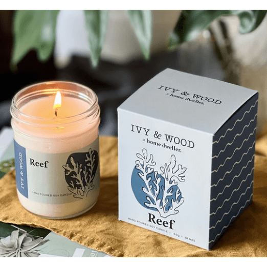 Ivy & Wood Candle IVY & WOOD X HOME DWELLER Reef